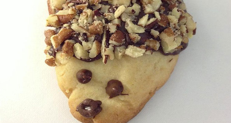Image Courtesy of all recipes.com