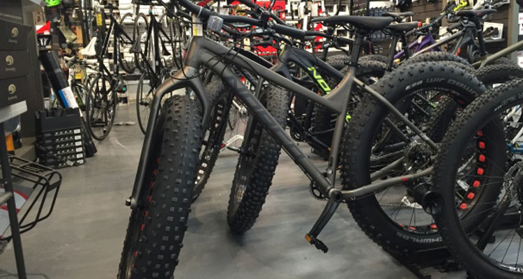 Fat bike have tires that are often 12 cm wide. (Abby Schneider/CBC)