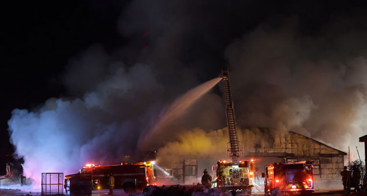 Image Courtesy of www.torontosun.com