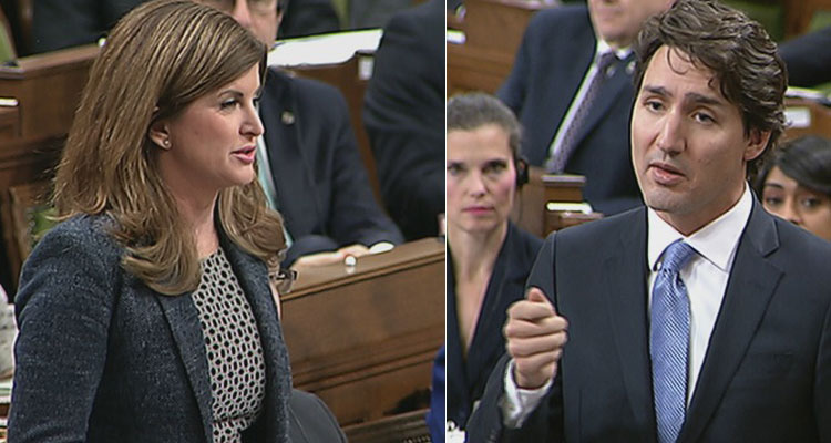 Image Courtesy of CBC News 