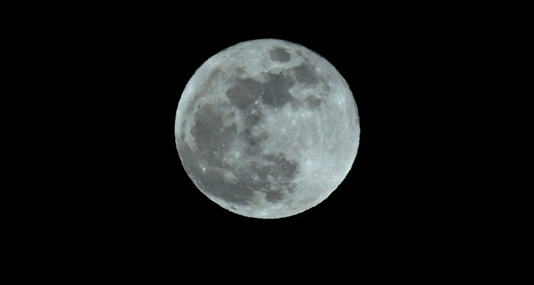 Hunger Moon