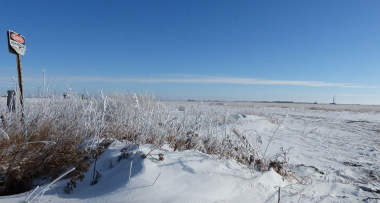 The GTH bought this land on March 3, 2014 from a company owned by two Regina businessmen for $103,000 an acre. (CBC News)