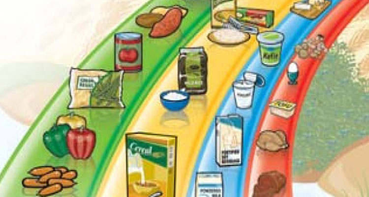 Canada's Food Guide is arranged as a rainbow, divided into food groups. Critics want an overhaul of its approach. (CBC News)