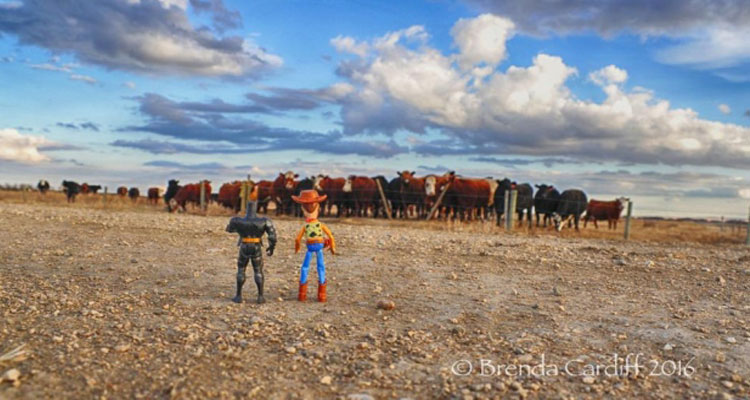 "Not to worry Batman. I'm a Cowboy, and I KNOW all about this stuff! Those horses aren't going to bother us!" (Courtesy of  Brenda Cardiff )