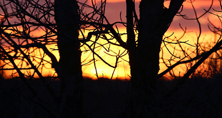 Sunset Moose Jaw Sk