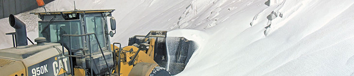 Image Courtesy of The Western Producer 