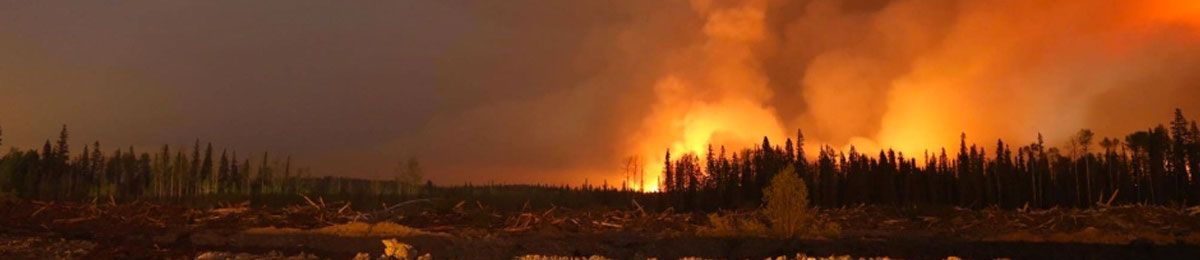 Image Courtesy of Darryl Tobin for CTV News
