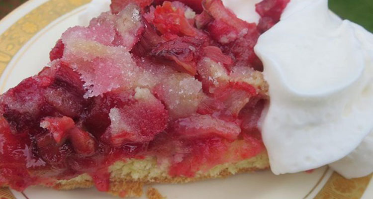 pie-surprise