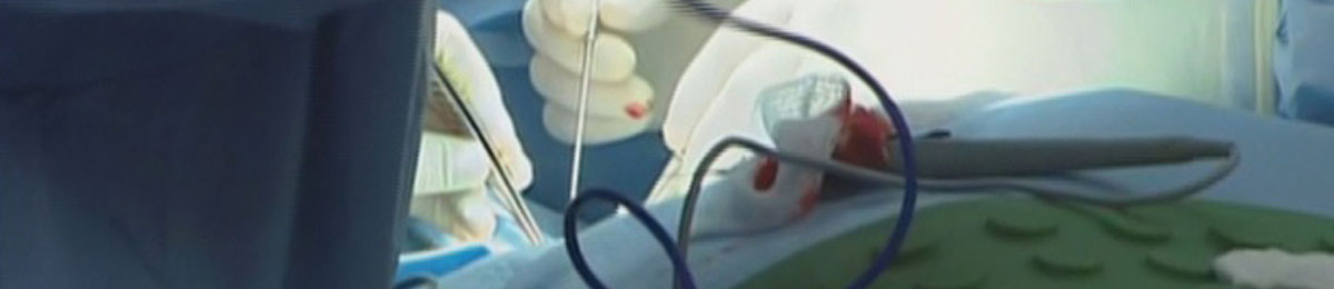 Image Courtesy of CBC News 