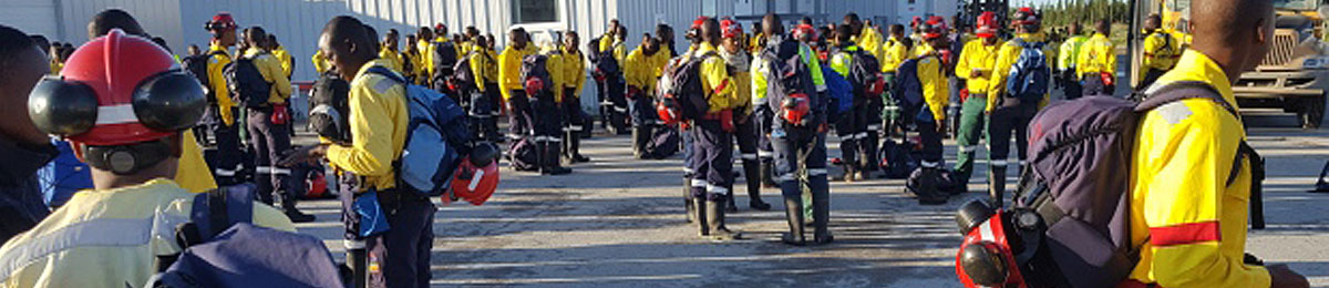 Image Supplied to CBC News