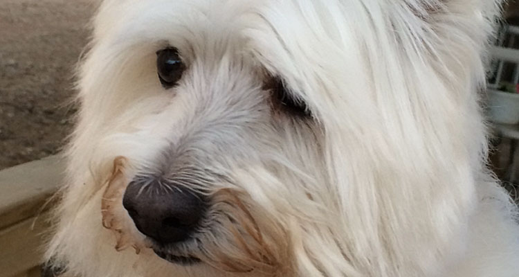 maggie-mae