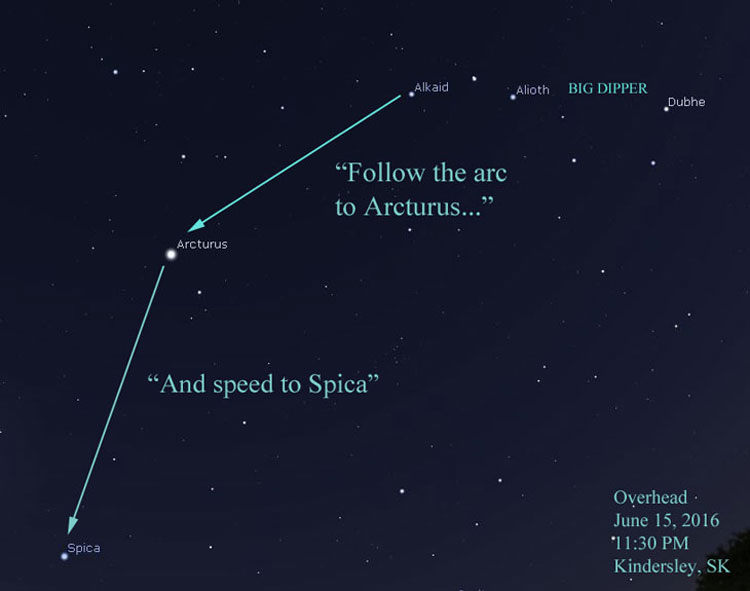 speedtospica