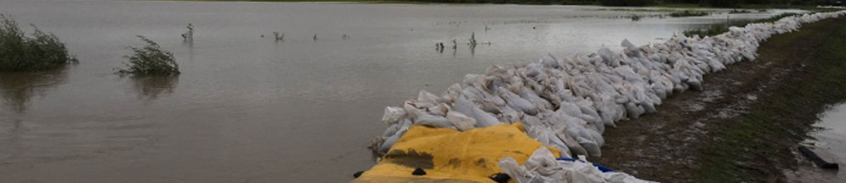 Image Courtesy of Matthew Garand/CBC
