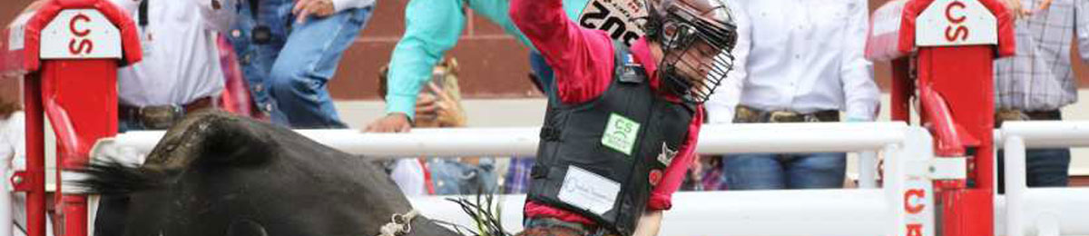 Image Courtesy of GAVIN YOUNG / CALGARY HERALD