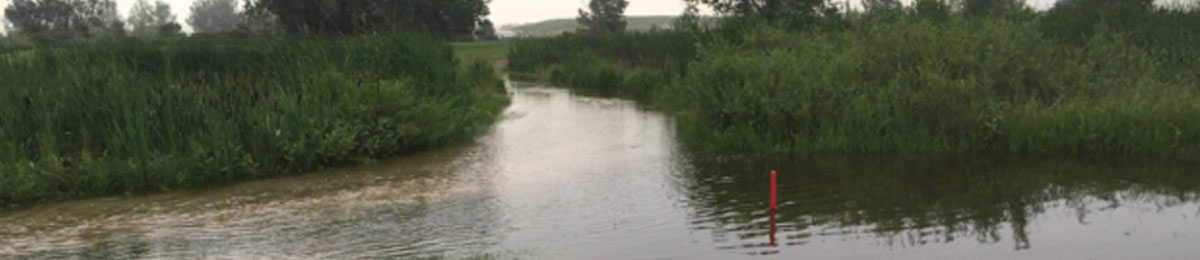 Image Courtesy of Bobbie Currie @woodlawnturf