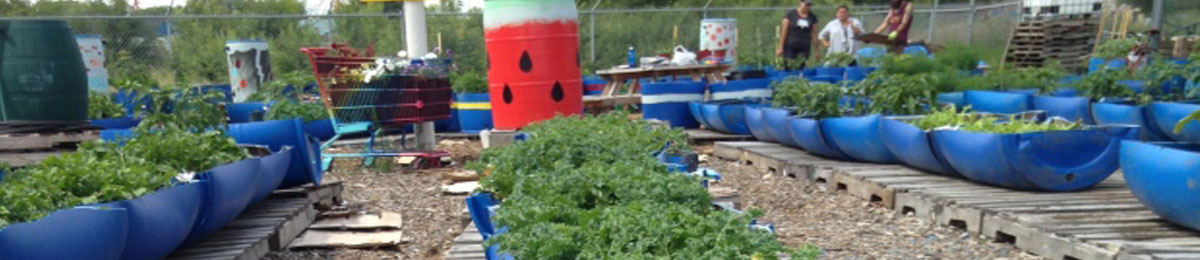 Image Submitted to CBC