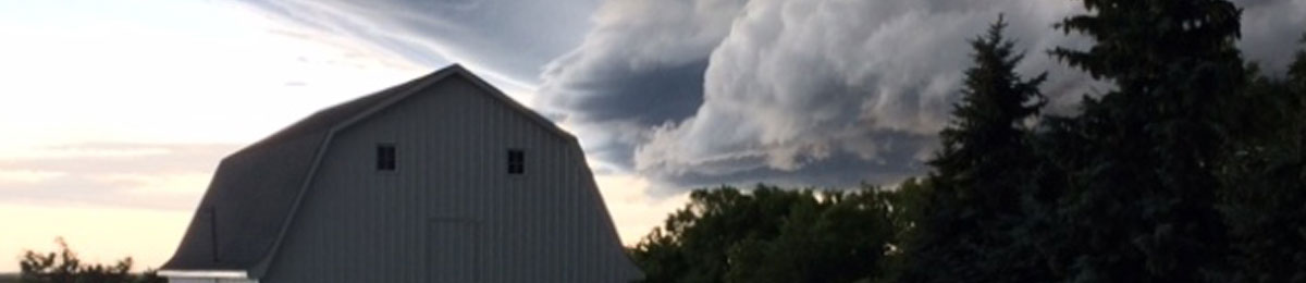 Image Courtesy of CBC/Submitted to CBC